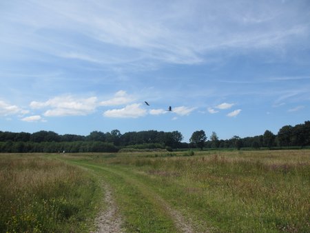 IMG_5392.JPG
