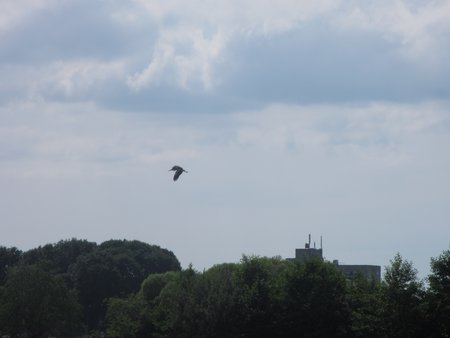 IMG_5393.JPG