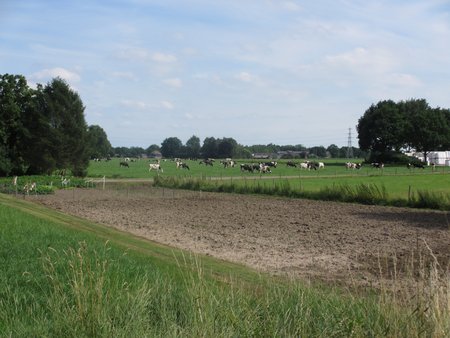 IMG_5404.JPG