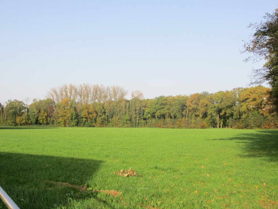 IMG_6628.JPG