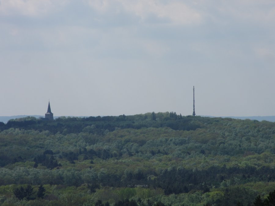 IMG_7517.JPG