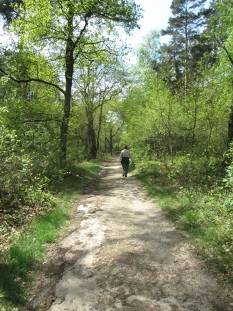 IMG_7514.JPG