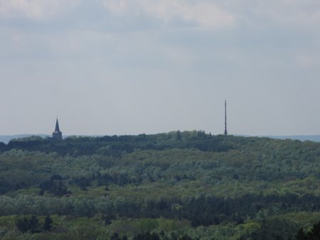 IMG_7517.JPG