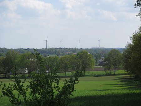 IMG_7519.JPG