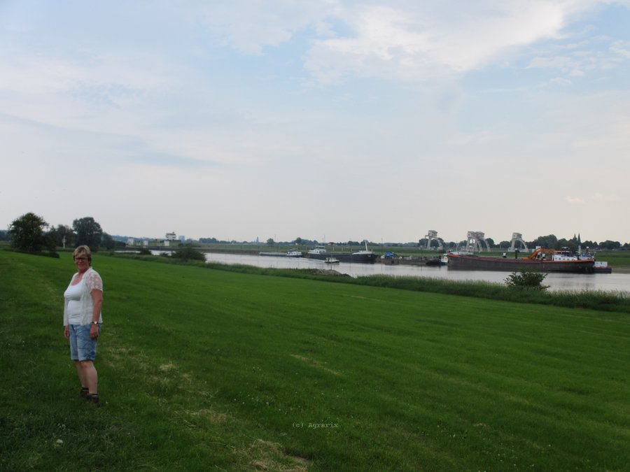 IMG_7750.JPG