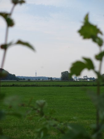 IMG_7749.JPG