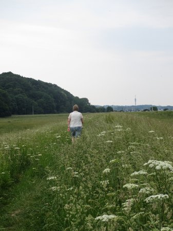 IMG_7752.JPG