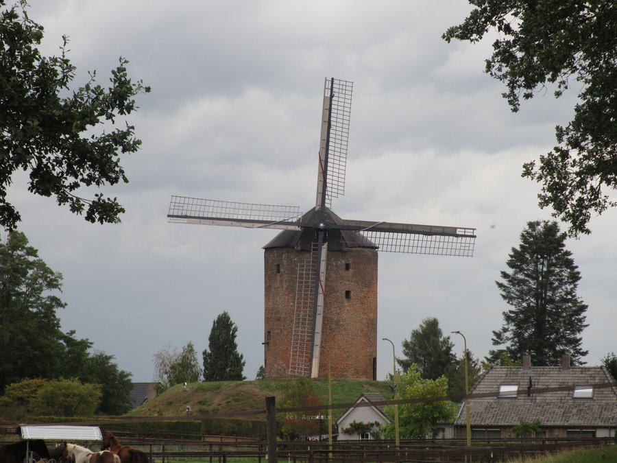 IMG_9740.JPG