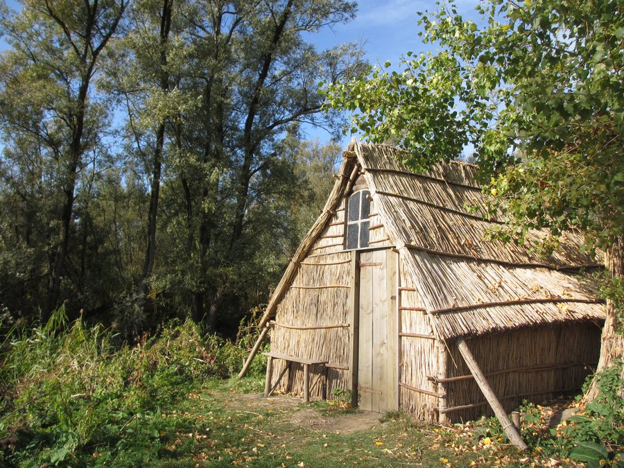 IMG_9824.JPG