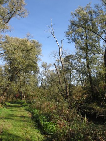 IMG_9814.JPG