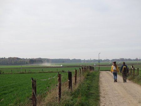 IMG_9850.JPG