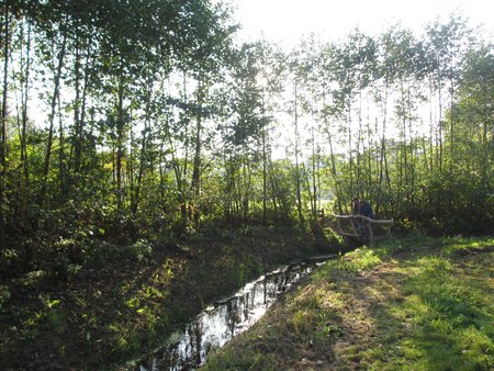 IMG_9875.JPG