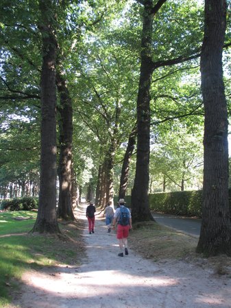 160925_Wandeling_Oosterbeek-2