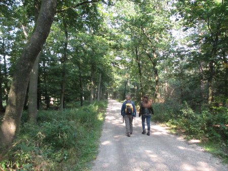 170924_Uddelermeerpad-Noord(Udel)