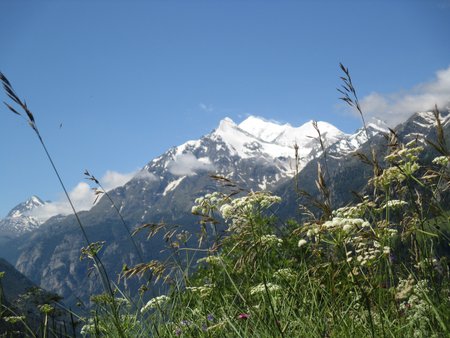 240704_112809-IMG_8014.JPG