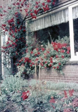 Magazijn_02