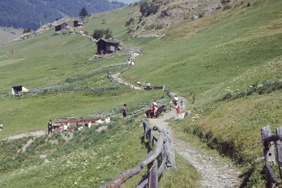 PICT0004.JPG