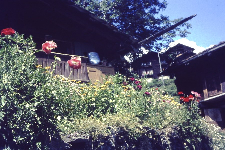 PICT0016.JPG