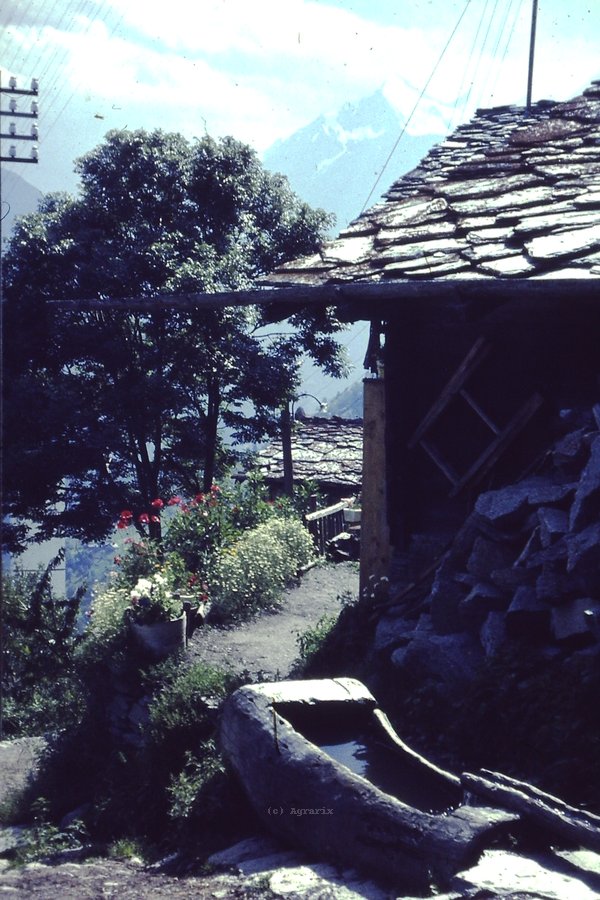 PICT0017.JPG
