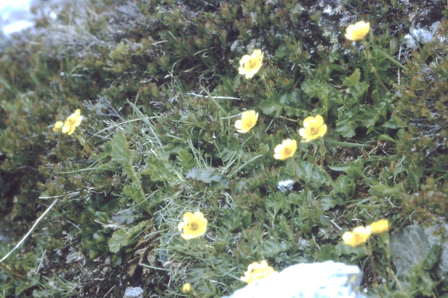 PICT0061.JPG