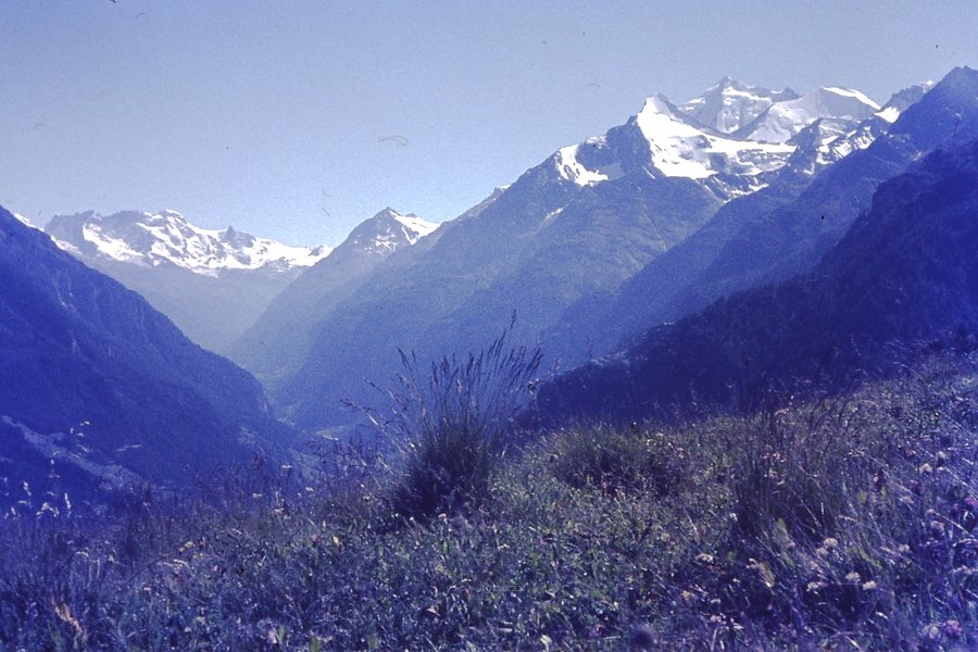 PICT0080.JPG