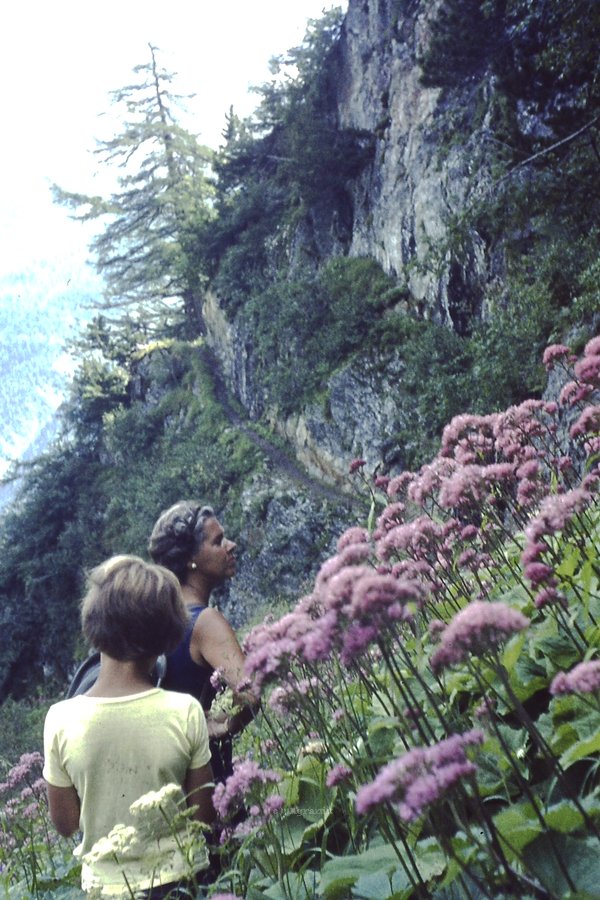 PICT0089.JPG