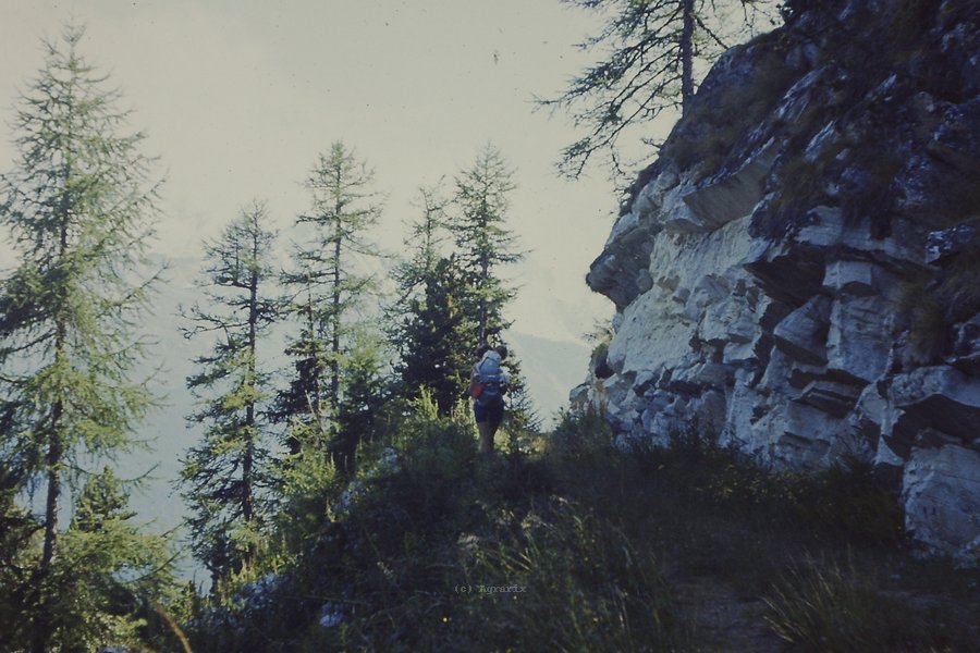 PICT0098.JPG