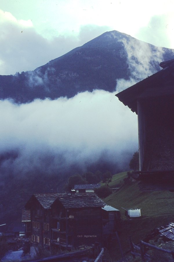 PICT0099.JPG