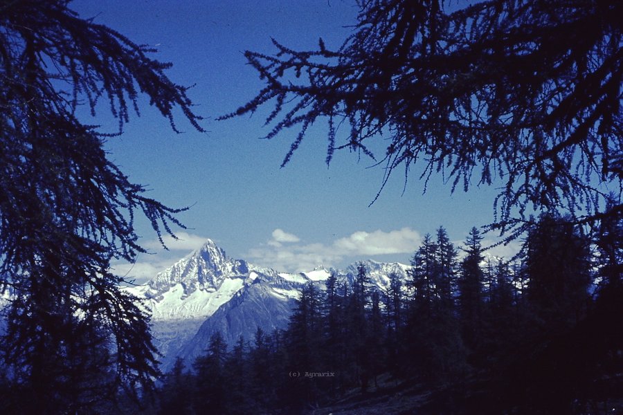 PICT0102.JPG