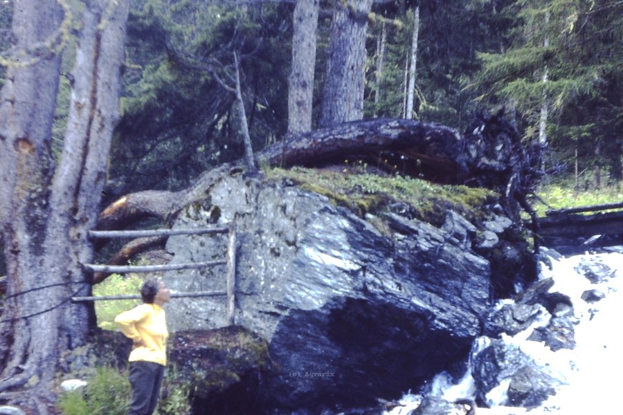 PICT0103.JPG