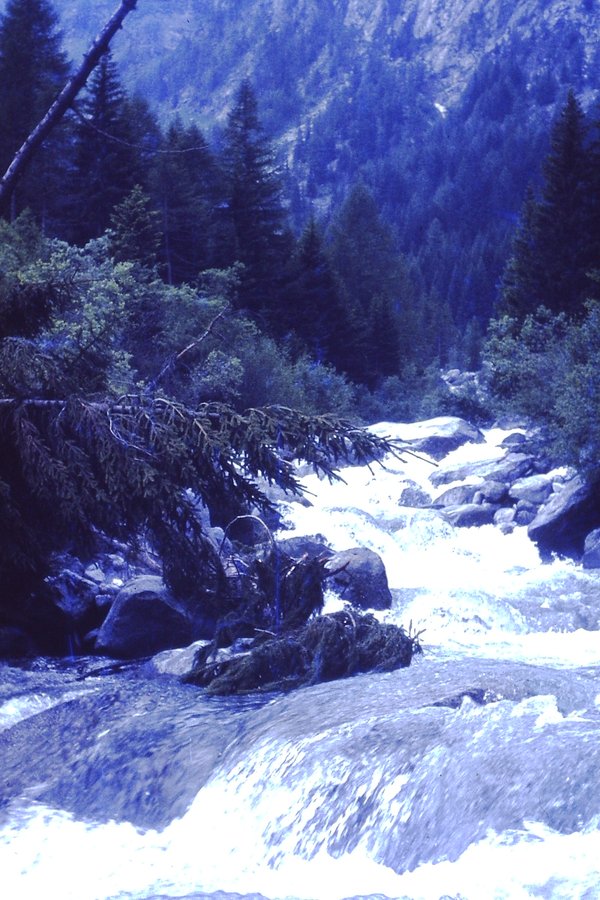 PICT0138.JPG