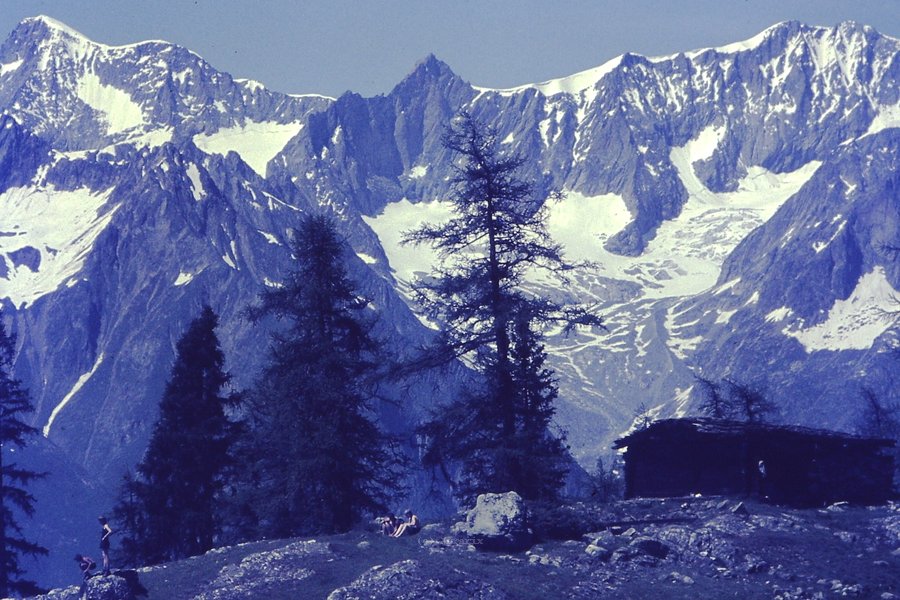 PICT0141.JPG