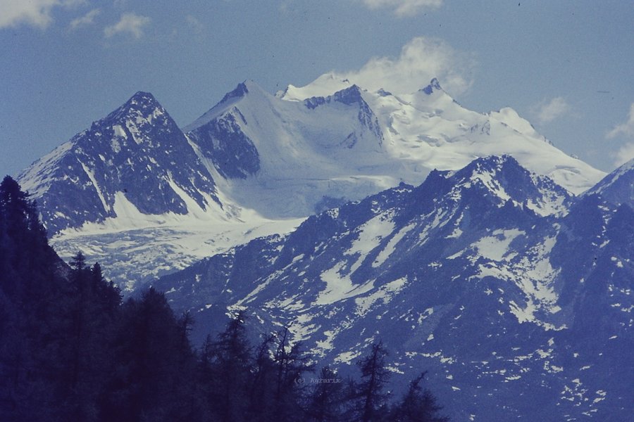 PICT0143.JPG