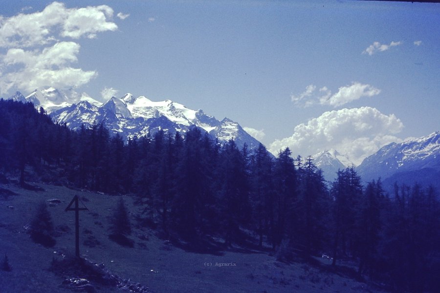 PICT0144.JPG