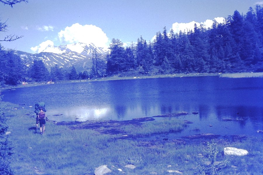 PICT0151.JPG