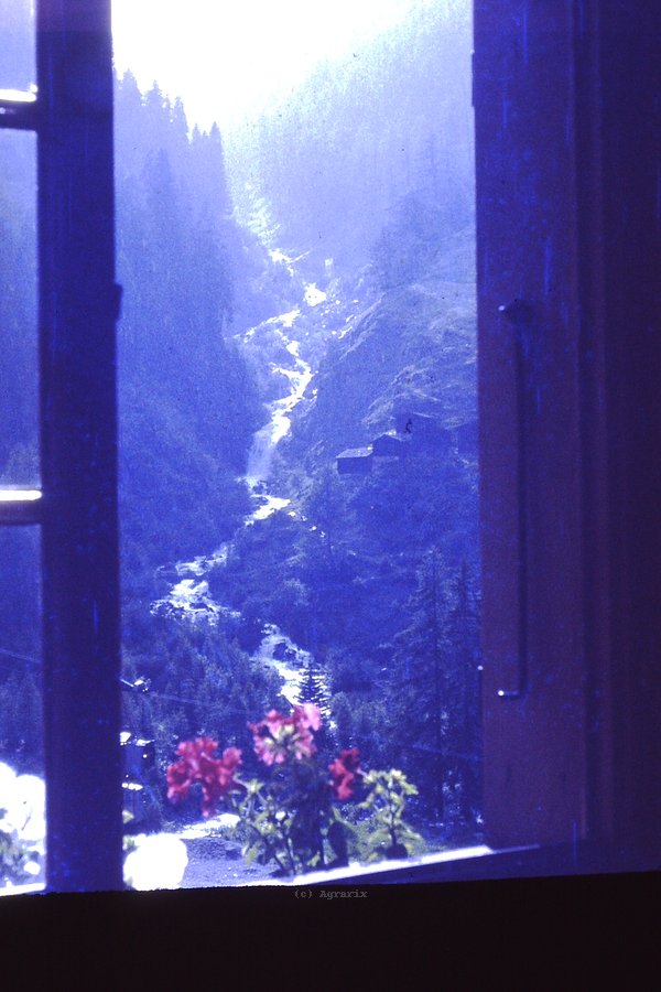PICT0159.JPG