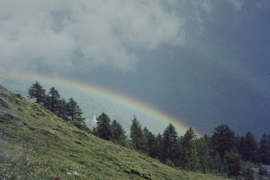 PICT0160.JPG