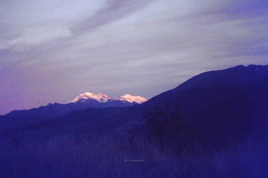 PICT0163.JPG