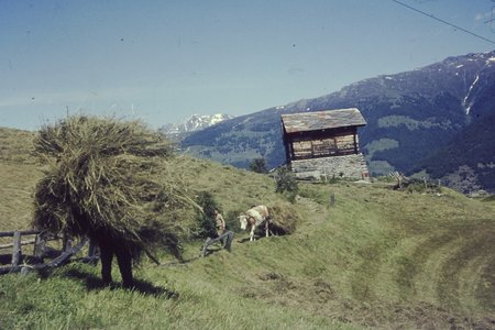 PICT0006.JPG