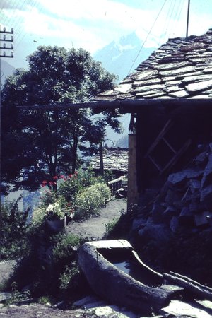 PICT0017.JPG