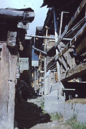 PICT0018.JPG