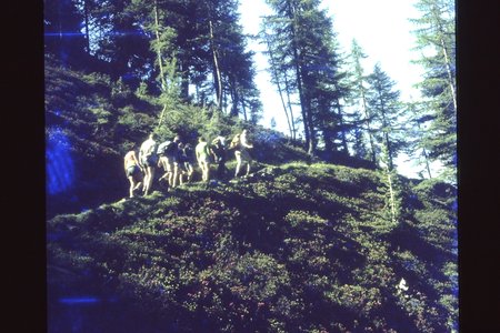 PICT0032.JPG
