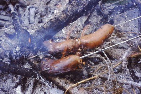 PICT0040.JPG