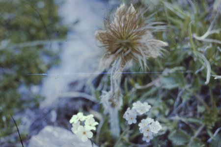 PICT0062.JPG