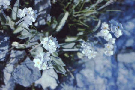 PICT0063.JPG