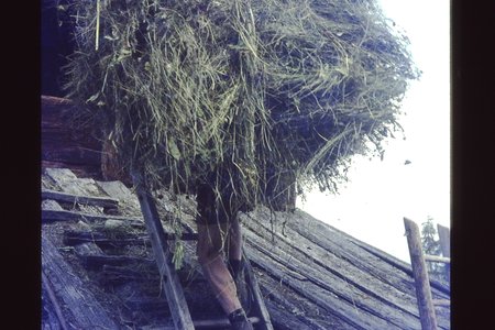 PICT0069.JPG