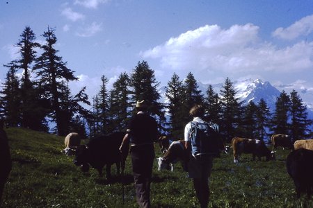 PICT0078.JPG