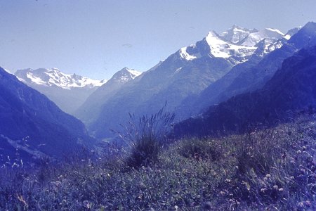 PICT0080.JPG