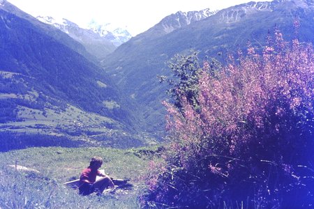 PICT0081.JPG