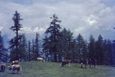 PICT0082.JPG